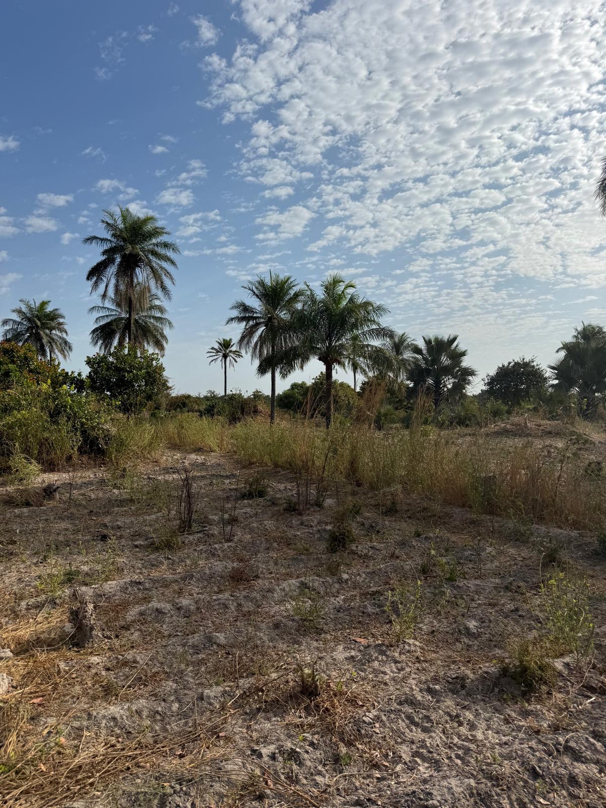 Sanyang Seaview plots